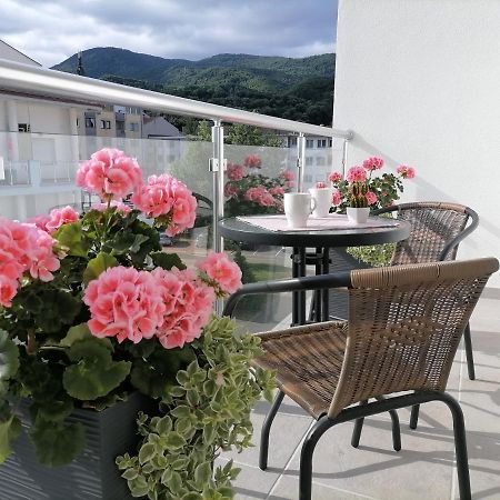 Apartmán Svjetlanalex 2 Banja Koviljača Exteriér fotografie