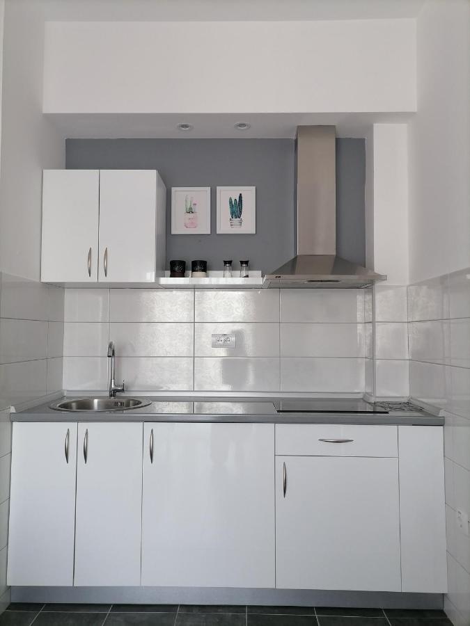 Apartmán Svjetlanalex 2 Banja Koviljača Exteriér fotografie