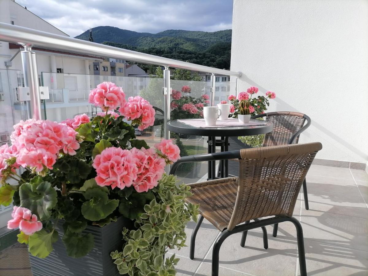 Apartmán Svjetlanalex 2 Banja Koviljača Exteriér fotografie